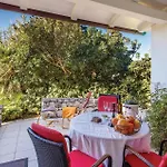 Pet Friendly In Barbat
