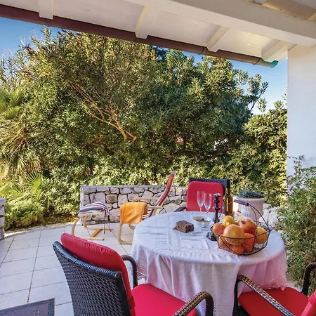 Pet Friendly In Barbat