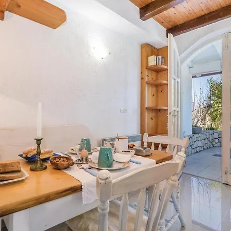 Pet Friendly In Barbat