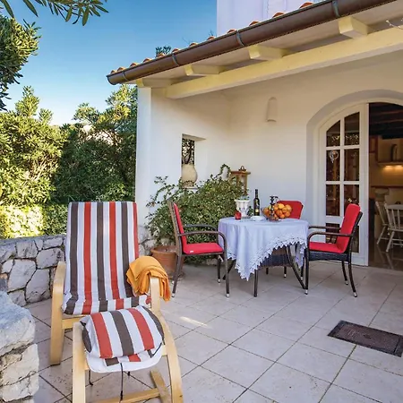 Pet Friendly In Barbat