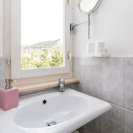 Pet Friendly In Barbat