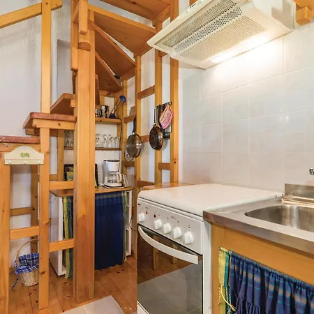 Pet Friendly In Barbat Διαμέρισμα Barbat na Rabu
